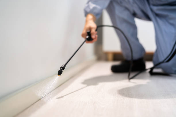 Licensed Pest Control service in Marion, WI - Show Me Pest Control
