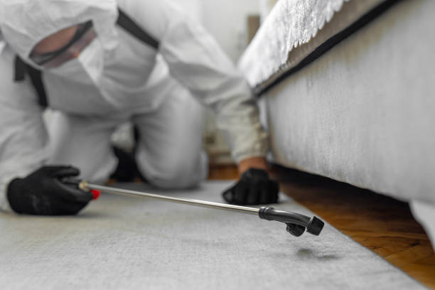 Professional Ant Control technician working in Marion, WI